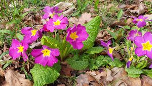 Betreuungsangebote März